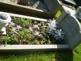 image of grave number 179661